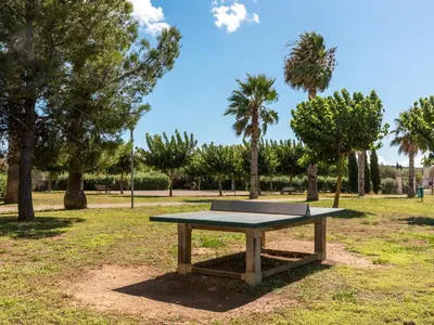 a picnic table in a park with palm trees at Vacancéole - Port Minervois, Les Hauts du Lac in Homps