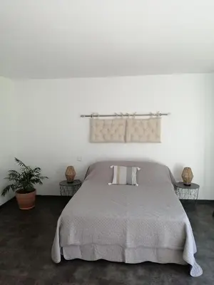 a white bedroom with a bed and two plants at la fenass in Noailhac