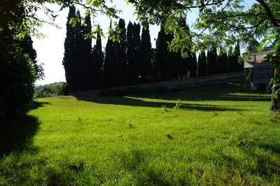a field of green grass with trees in the background at La petite maison dans la prairie in Cassaignes
