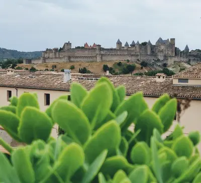 a view of a castle from the roofs of houses at Appartement L'Oliveraie - La Cité plein les yeux in Carcassonne