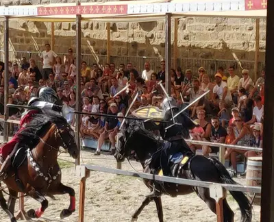 two men in armor on horses in front of a crowd at Appartement L'Oliveraie - La Cité plein les yeux in Carcassonne