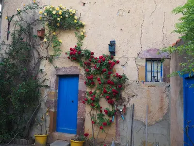 a building with a blue door and flowers on it at Maison du Parc in Saint-Chinian