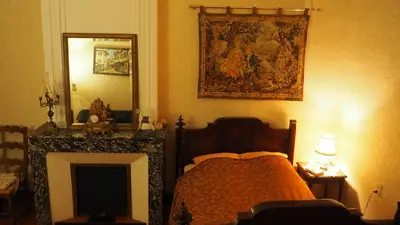 a bedroom with a bed and a fireplace and a mirror at Maison du Parc in Saint-Chinian
