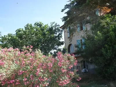 a bedroom with a bed with blue walls and windows at Domaine du Petit Tournebelle in Gruissan