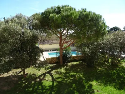 a villa with a swimming pool between two trees at Domaine du Petit Tournebelle in Gruissan