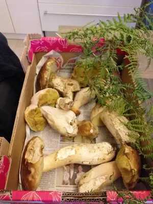 a box of mushrooms sitting on top of a table at Maison accueillante à La Salvetat-sur-Agout avec terrasse in La Salvetat