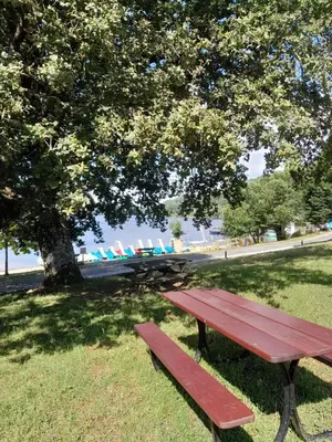 a picnic table and bench under a tree in a park at Maison accueillante à La Salvetat-sur-Agout avec terrasse in La Salvetat