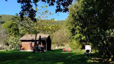 a small cabin in the middle of a green field at Les Divines Cascades in Roquefort-les-Cascades