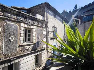 an old building with a plant in front of it at Maison des Remparts nichée sous la Cité in Carcassonne