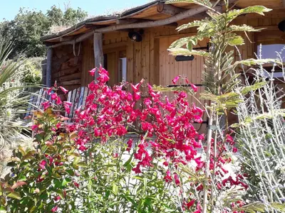 a bush of pink flowers in front of a cabin at Cabanes Trésors de Campagne,spas privatifs in Villarzel-du-Razès