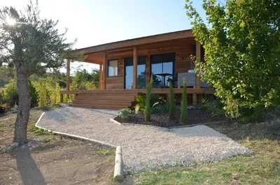 a small wooden house with a tree in front of it at Cabanes Trésors de Campagne,spas privatifs in Villarzel-du-Razès