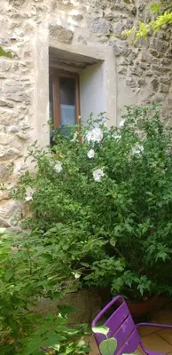 a purple bench in front of a bush with a window at Le Chateau in Camps-sur-lʼAgly