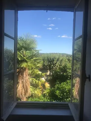 a window with a view of a palm tree at Librairie Abelard in Montolieu