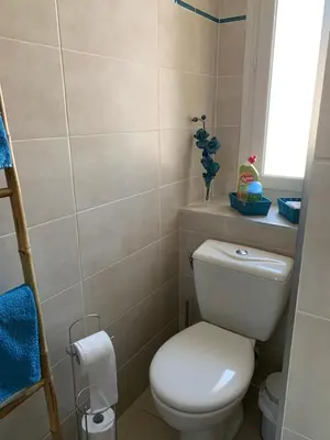 a small bathroom with a toilet and a window at La Turenne in Narbonne