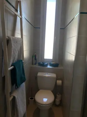 a small bathroom with a toilet and a window at La Turenne in Narbonne