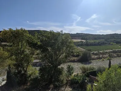 a view of a field with a tree in the foreground at LA MAISON MIRAVA in La Caunette