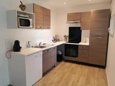a kitchen with wooden cabinets and a sink and a microwave at La Limonadière in Port-la-Nouvelle