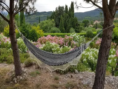 a hammock in the middle of a garden with flowers at Modern villa in Camplong with private pool in Félines-Minervois