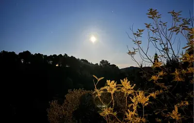 a full moon rising over a mountain with trees at Awesome Home In Prades Sur Vernazobre in Prades-sur-Vernazobre