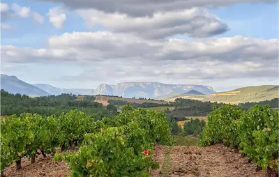 a view of a vineyard with mountains in the background at Awesome Home In Prades Sur Vernazobre in Prades-sur-Vernazobre