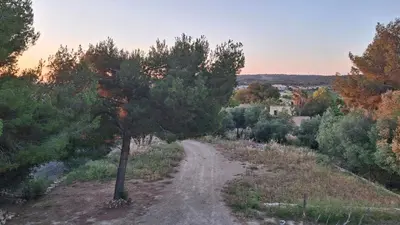 a dirt road with a tree on the side at Le Studio des 3 Moulins in Sigean