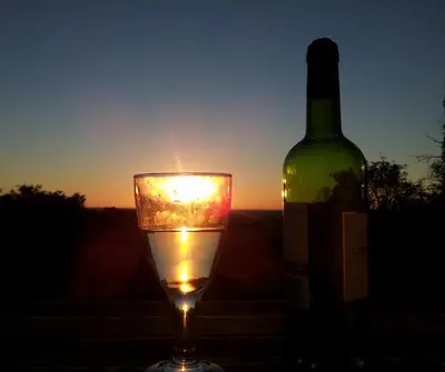 a glass of wine next to a bottle of wine at Domaine De Polfages in Villautou