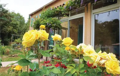 a group of yellow roses in front of a house at Amazing Home In Prades Sur Vernazobre in Prades-sur-Vernazobre