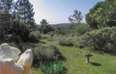 a garden with a flower pot in the grass at Lovely Home In Puisserguier With Wifi in Puisserguier