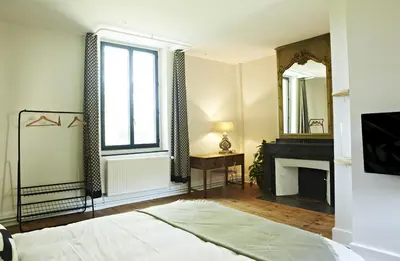 a bedroom with a bed and a fireplace and a mirror at Chambres d'hôtes du Domaine de Bonnery in Caucalières