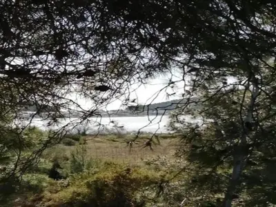 a view of a body of water through trees at Olonzac Escape Pool & Charm in Olonzac