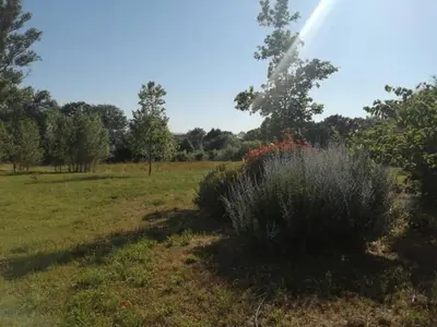 a bush in a field with a rainbow in the background at Olonzac Escape Pool & Charm in Olonzac