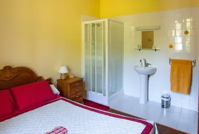 a bedroom with a bed and a shower and a sink at Au Petit Verger in Puivert