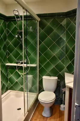 a green tiled bathroom with a toilet and a shower at Residence le Petit Paradis in Labastide-Rouairoux