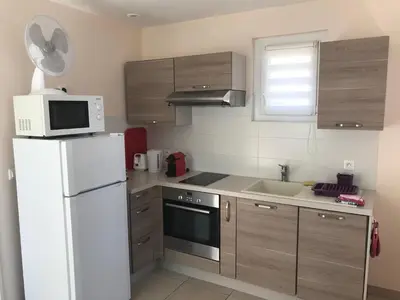 a kitchen with a white refrigerator and a microwave at Maisonnette El Puy in Molitg les Bains