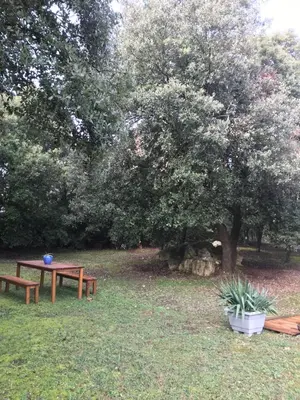 a park with a picnic table and a tree at Chambre d'hôte à La maison du petit bois 4 étoiles in Ventenac-Cabardès