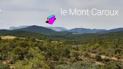 a kite flying in the sky over a forest at Lenga doc in Prades-sur-Vernazobre