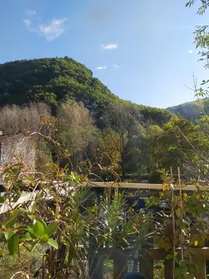 a view of a mountain from a garden at Burlats in Burlats