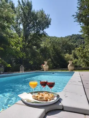 a tray of food and two wine glasses next to a swimming pool at Burlats in Burlats