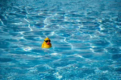 a rubber duck floating in a swimming pool at Logis Hôtel et Restaurant La Bombardière in Cuq-Toulza
