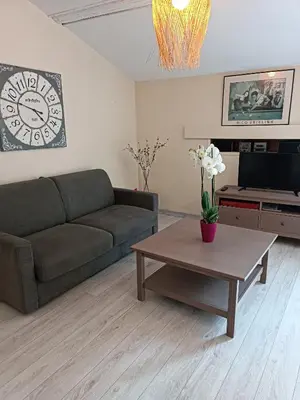 a living room with a couch and a coffee table at Aux Berges du Canal in Capestang