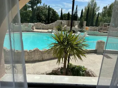 a palm tree in front of a swimming pool at gîtes Studio de tourisme du Domaine Piscine Spa Balnéo in Lescout