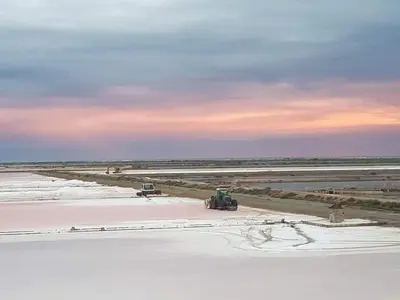 two tractors are working in a field with snow at Cap Gruissan Vacances (11) in Gruissan