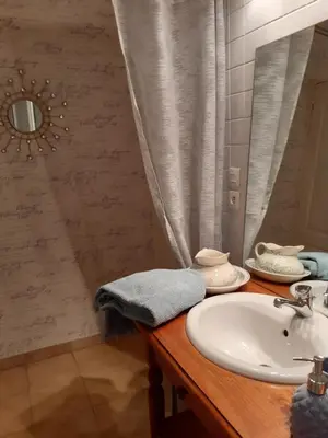 a bathroom with a sink and a mirror at La Bergerie in Lagarrigue