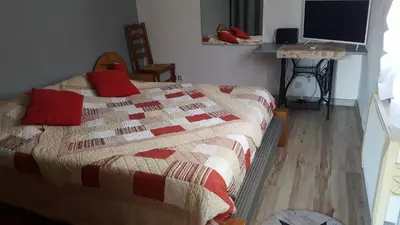 a bedroom with a bed with red pillows on it at Gîte indépendant in Caux-et-Sauzens