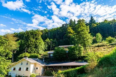 a house in the middle of a hill with trees at Les Cabanes d'Hestia in La Salvetat