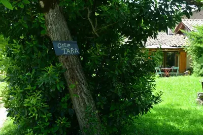 a blue sign on a tree in a yard at Petit Gîte TARA avec SPA - Ariege Pyrénées in Péreille