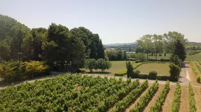an aerial view of a garden with vines at Domaine de la JASSO, Demeure de grand luxe au pied de la Cité de Carcassonne, piscines et parc animalier in Carcassonne