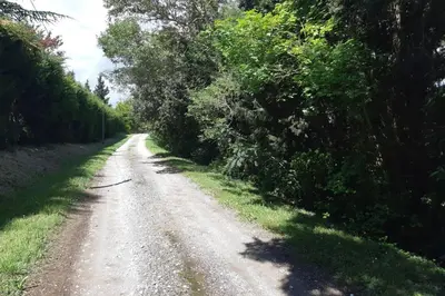 a dirt road with trees on the side of it at Studio dans un cadre champêtre in Mas-Saintes-Puelles
