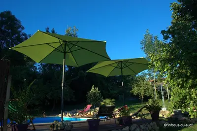 two green umbrellas and chairs next to a pool at Infocus-Du-Sud in Soula