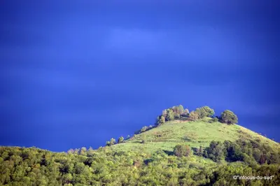a green hill with trees on top of it at Infocus-Du-Sud in Soula